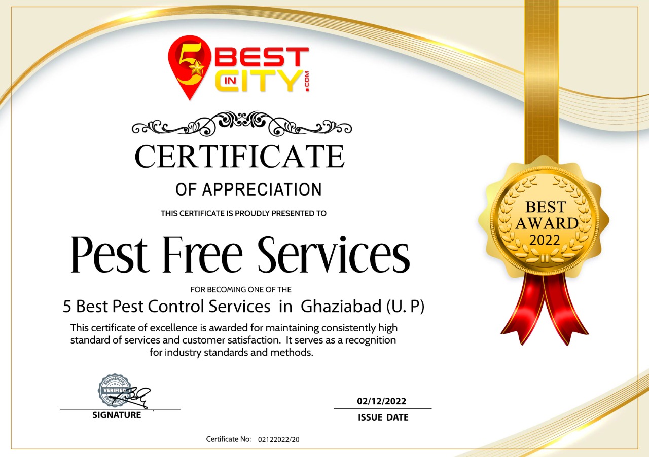 5bestincitycertificate