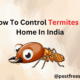 How To Control Termites at Home In India
