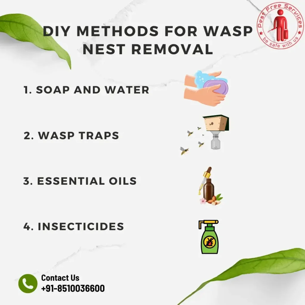 🐝✨ DIY Wasp Nest Removal Tips! ✨🐝