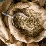Agriculture Commodity